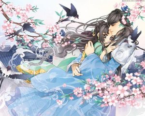 九尾狐正能量视频